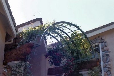 Garden Archway Trellis